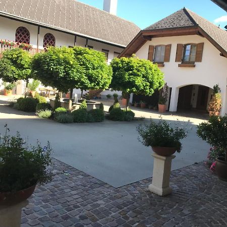 VIII Panorama-Ferienwohnung Petzenblick Smihel nad Pliberkom Exteriör bild
