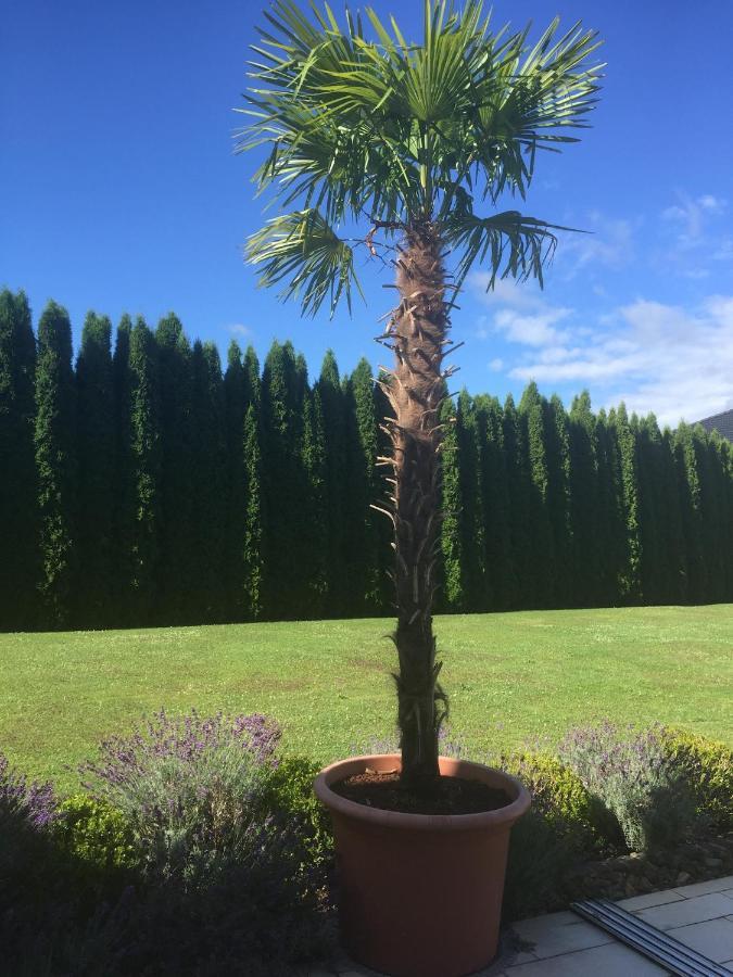 VIII Panorama-Ferienwohnung Petzenblick Smihel nad Pliberkom Exteriör bild