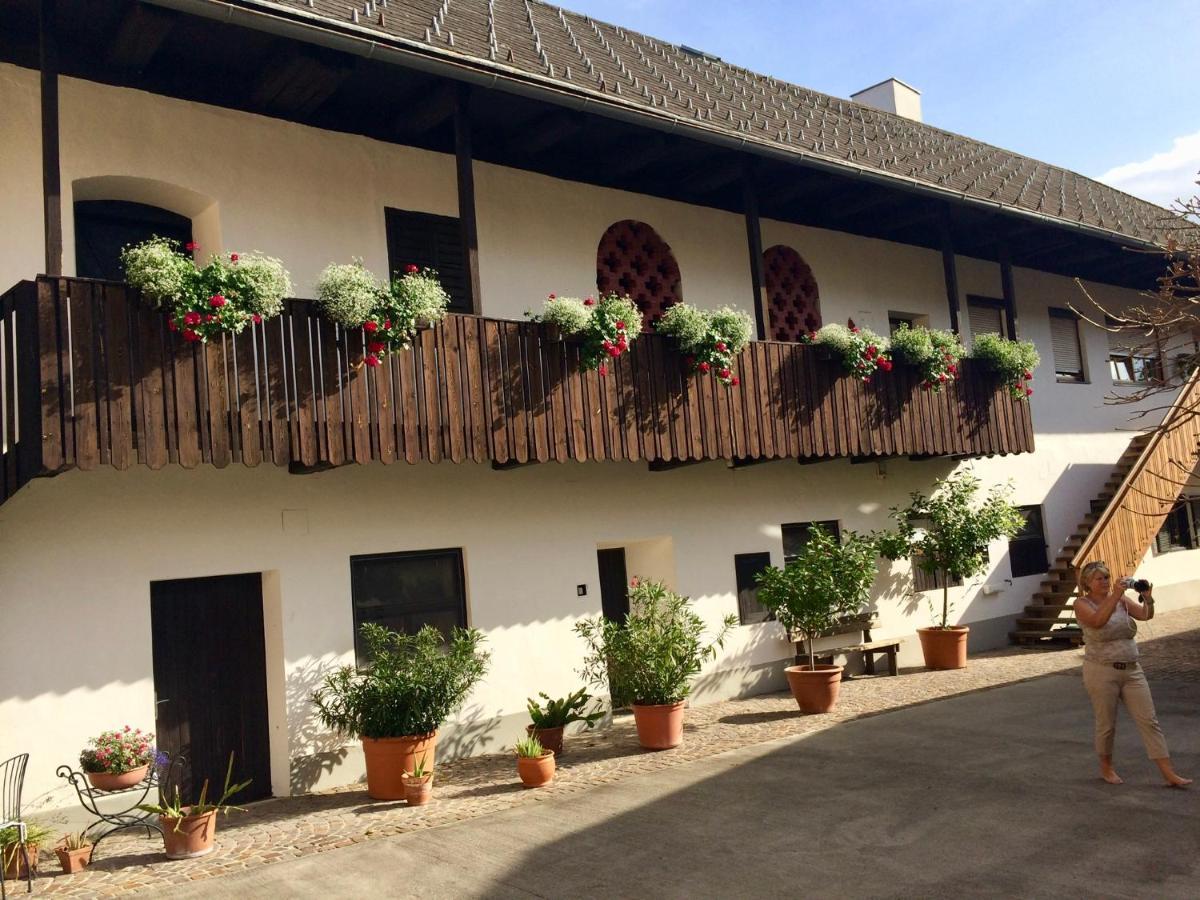 VIII Panorama-Ferienwohnung Petzenblick Smihel nad Pliberkom Exteriör bild